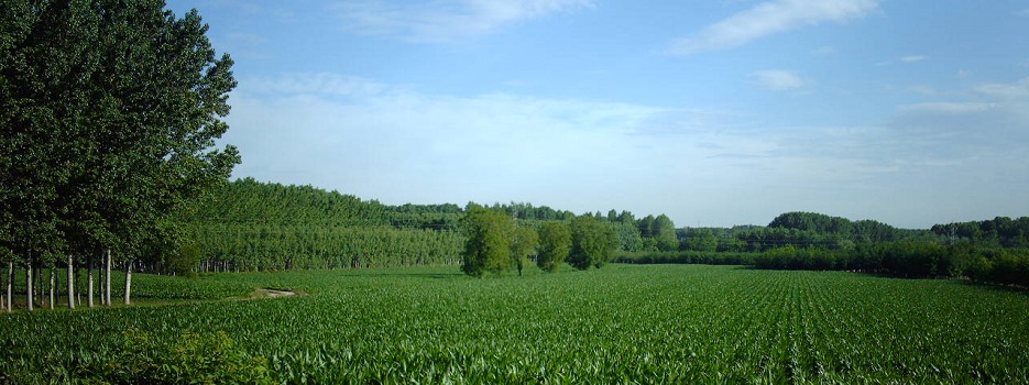 Plana agrícola Sant Joan de Mollet